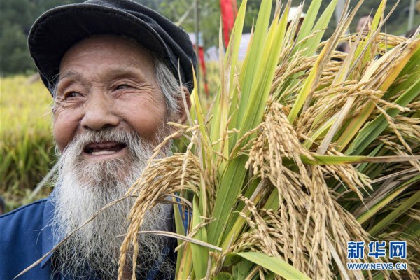 9月17日,在打谷节活动上,91岁的罗延德老人开镰后喜笑颜开.