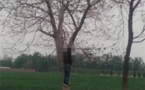 QQͼ20190419163007.jpg