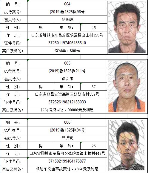 冠县人民法院发布失信被执行人名单(2019年第4期)