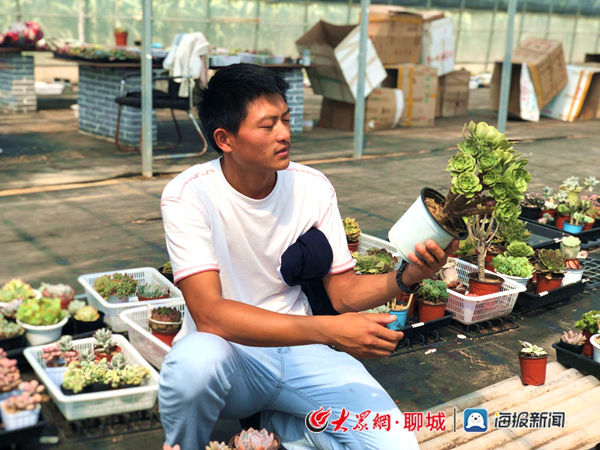 90后返乡创业青年魏西达:多肉种植铸就"新梦想"