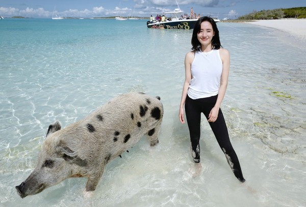 王智元宵节晒运动范旅行照 猪年伊始遇见一岛"二师兄"