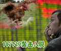 QQ截图20130410135520.png