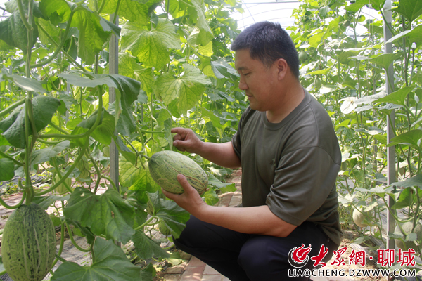 莘县东孙庄村:抓准特色产业发力点 撬起乡村