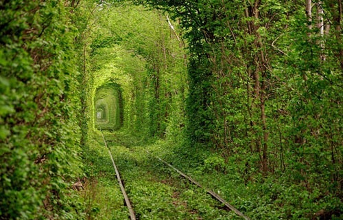 Tunnel-Of-Loveɫ