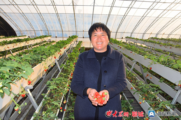 聊城原創_總部 時間:2月2日 地點:聊城市莘縣朝城鎮西關村